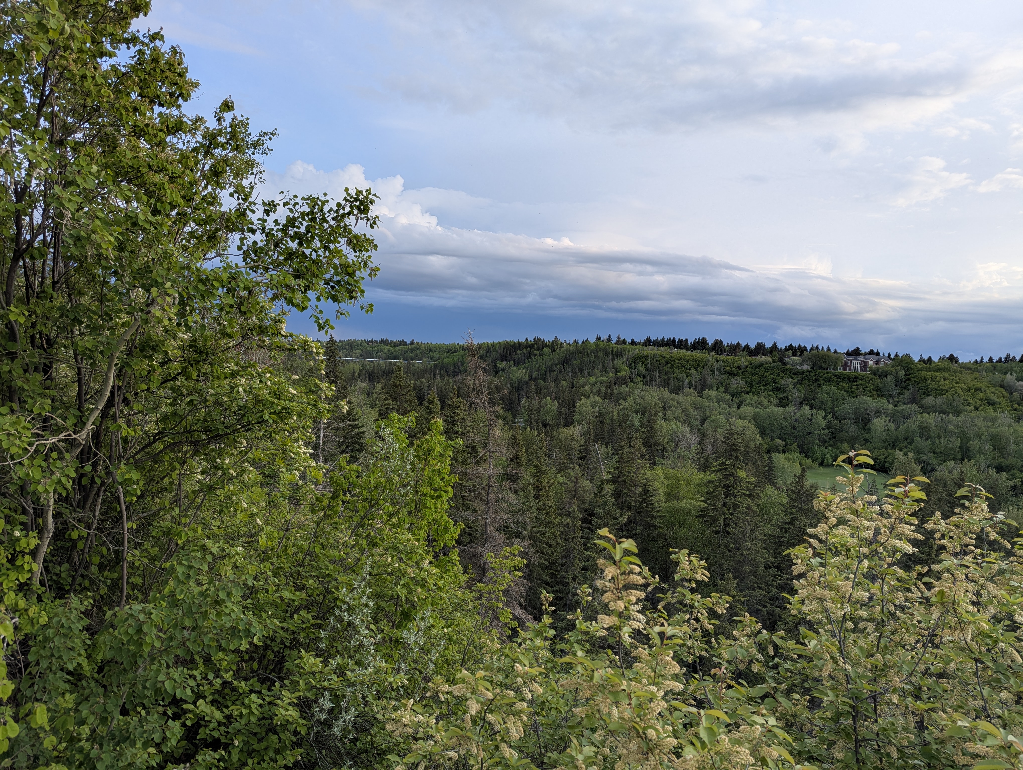 Birthday Trip to Canada, Edmonton